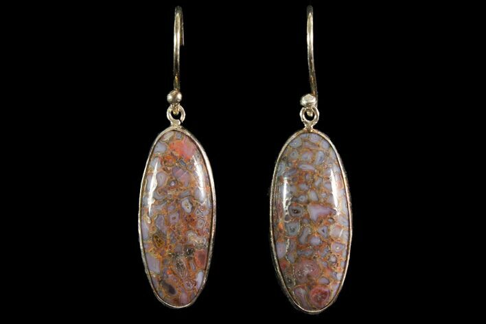 Polished Fossil Dinosaur Bone (Gembone) Earrings #115184